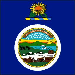 Kansas State Flag Detail