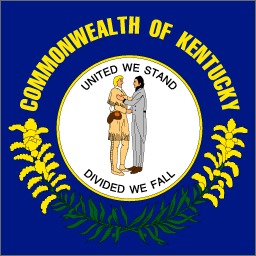 Kentucky State Flag Detail