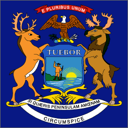 Michigan State Flag Detail