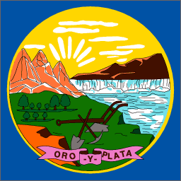 Montana State Flag Detail