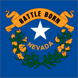Nevada State Flag Detail