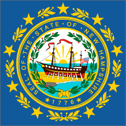 New Hampshire State Flag Detail