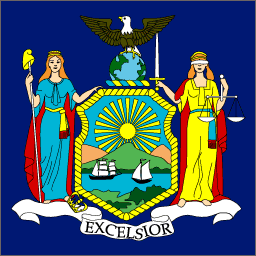 New York State Flag Detail