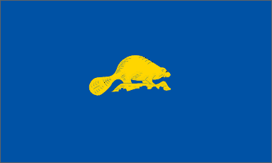 Oregon State Flag Detail - Back
