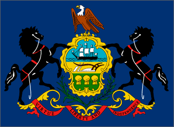 Pennsylvania State Flag Detail