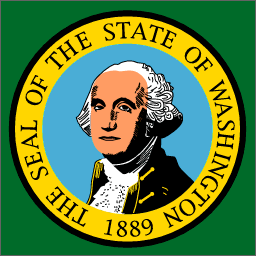 Washington State Flag Detail